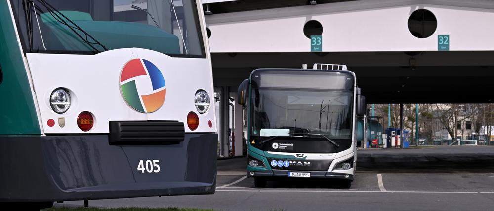 Im Vordergrund eine Tram der Potsdamer Verkehrsbetriebe, dahinter einen Linienbus des ViP.