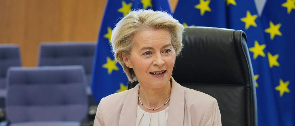 Ursula von der Leyen bei einem Treffen mit Industrievertretern (Archivbild)