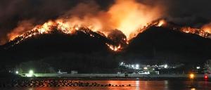 Ein Waldbrand wütet weiterhin in einem Berggebiet in Ofunato.