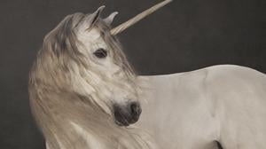 Marie Cécile Thijs: Einhorn