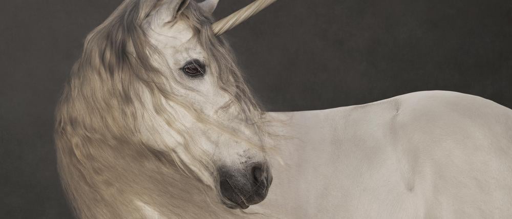 Marie Cécile Thijs: Einhorn