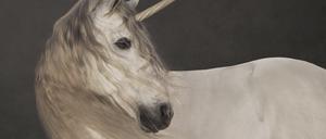 Marie Cécile Thijs: Einhorn