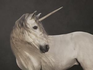 Marie Cécile Thijs: Einhorn