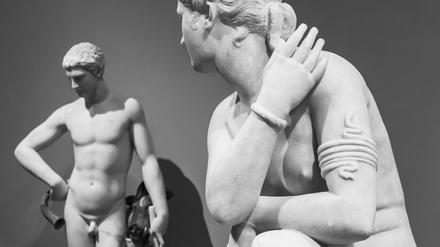 Männlich, weiblich – alles nur ein Kunstgriff der Evolution.
