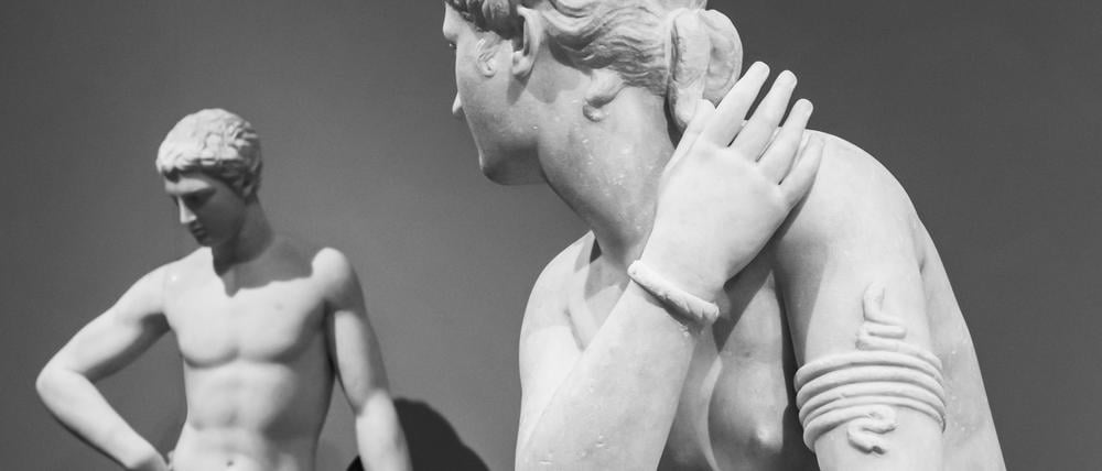 Männlich, weiblich – alles nur ein Kunstgriff der Evolution.
