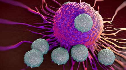 Mithilfe von ASS können die T-Zellen des Immunsystems Krebs besser bekämpfen.