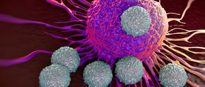 Mithilfe von ASS können die T-Zellen des Immunsystems Krebs besser bekämpfen.