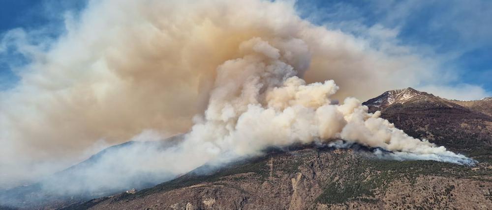 Der Brand war am Donnerstag oberhalb von Latsch im Vinschgau ausgebrochen.