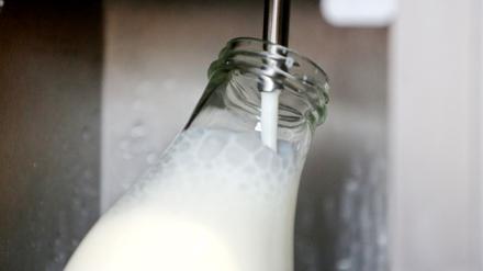 Rohmilch bekommt man direkt ab Hof. (Archivbild)