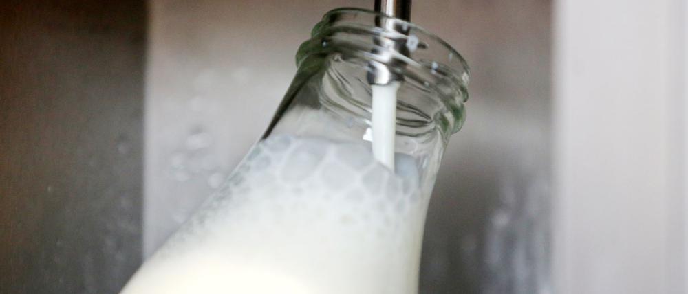 Rohmilch bekommt man direkt ab Hof. (Archivbild)