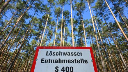 In den trockenen Wäldern Brandenburgs entstehen neue Löschwasser-Brunnen. 