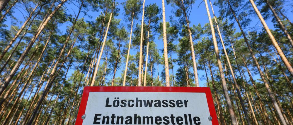 In den trockenen Wäldern Brandenburgs entstehen neue Löschwasser-Brunnen.