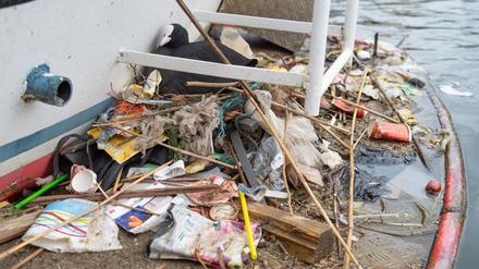 In Amsterdam bauen Blässhühner ihre Nester auch auf menschengemachte Untergründe - und mit menschengemachtem Plastik. 
