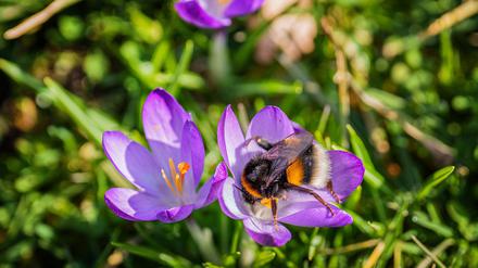 Das Wochenende bringt milde Temperaturen und viel Sonnenschein.