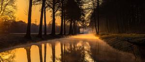 Das Wetter in Berlin und Brandenburg bleibt tagsüber mild, die Nächte werden frostig. (Archivbild)