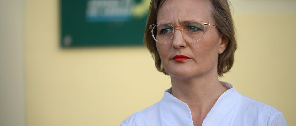 Franziska Brantner, Grünen-Vorsitzende