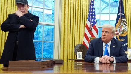 Ohne Starlink wäre die Ukraine am Ende, sagt Tech-Milliardär Musk, der US-Präsident Trump nahesteht. (Archivbild)