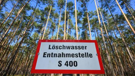 Eine Löschwasser-Entnahmestelle in einem Kiefernwald vom Landesbetrieb Forst Brandenburg.