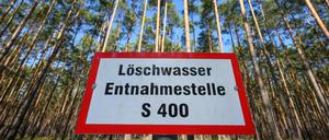 Eine Löschwasser-Entnahmestelle in einem Kiefernwald vom Landesbetrieb Forst Brandenburg.