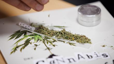Eine Mehrheit der Deutschen befürwortet laut einer aktuellen Forsa-Umfrage die Teil-Legalisierung von Cannabis.