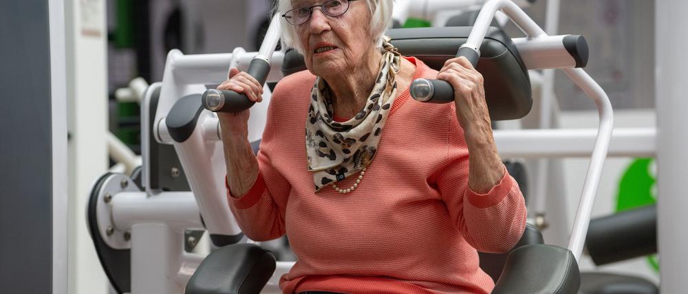 Im Sessel sitzen - das ist für Lord gar nichts (Archivbild)