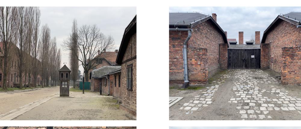 Die Bilder von Juergen Teller für sein Buch „Auschwitz“ zeigen häufiger dasselbe Motiv aus unterschiedlichen Perspektiven.
