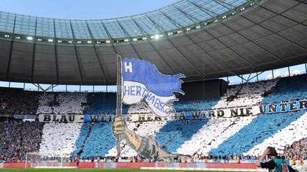 Hertha-Fans
