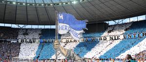 Hertha-Fans