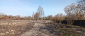 Rodungen in der Kleingartenanlage „Feuchter Winkel“ am Pankower Tor.