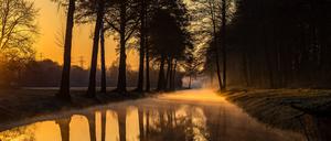 Derzeit sinken die Temperaturen erneut ein wenig in Berlin und Brandenburg. (Symbolbild)