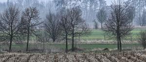 Eine BVG-Fähre musste wegen des Nebels ihren Betrieb vorübergehend einstellen (Archivbild).