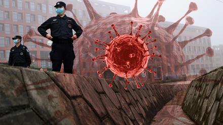 Die Herkunft von Sars-CoV-2 bleibt ein großes Rätsel.