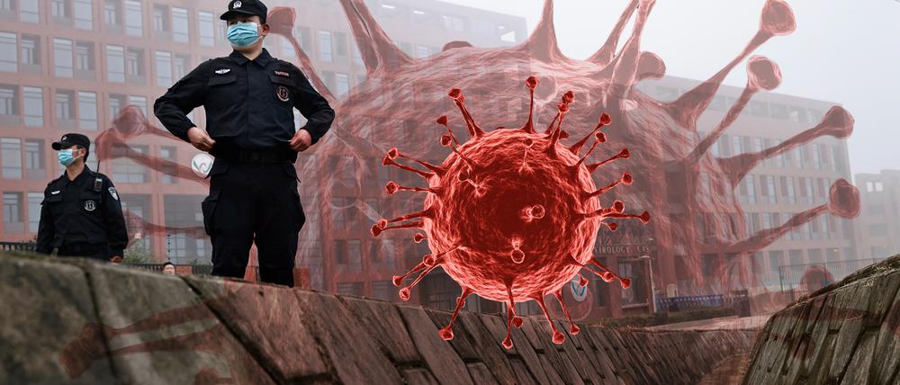 Die Herkunft von Sars-CoV-2 bleibt ein großes Rätsel.