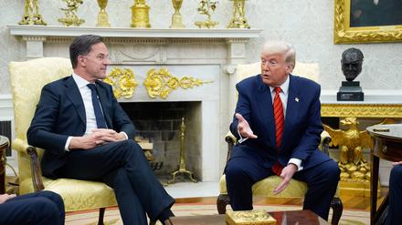US-Präsident Donald Trump trifft sich mit NATO-Generalsekretär Mark Rutte im Oval Office.