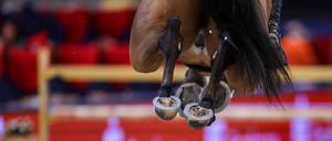 Eine 19 Jahre alte Nachwuchs-Springreiterin ist bei einem Trainingsunfall ums Leben gekommen (Symbolbild). 