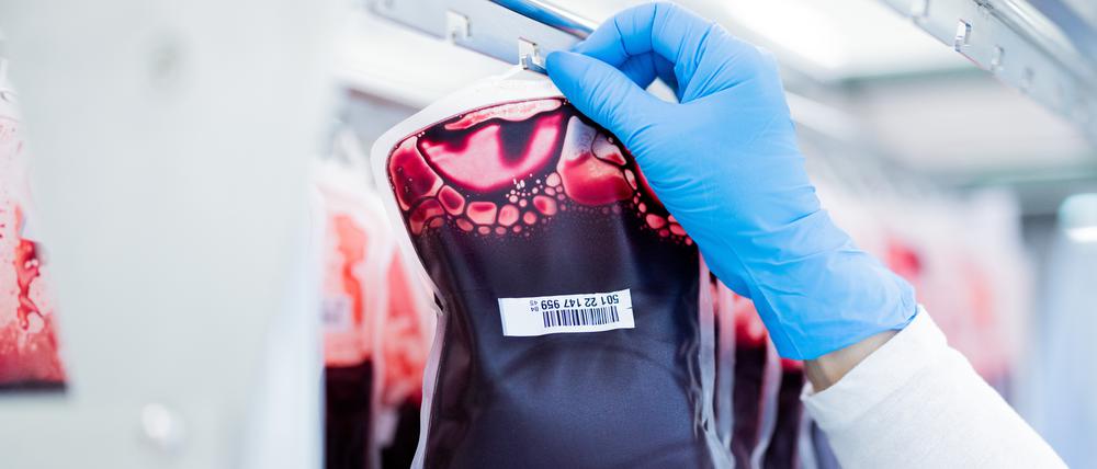 Blutkonserven werden im Zentrallabor des DRK-Blutspendedienstes für Krankenhäuser und Praxen gefiltert und aufbereitet.
