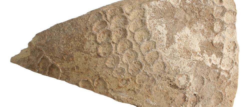 Eine typische Scherbe in der Honeycomb-Technik aus Al-Hira, Irak, die Mustafa Ahmad 2022 eindeutig als frühislamisch identifizieren konnte.