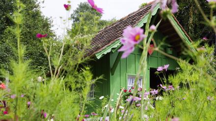 Gartenlaube.