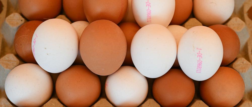Derzeit in den USA ein rares Gut: Eier.