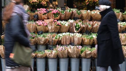 Für Tulpen müssen Verbraucher in diesem Jahr tiefer in die Tasche greifen. (Archivbild)
