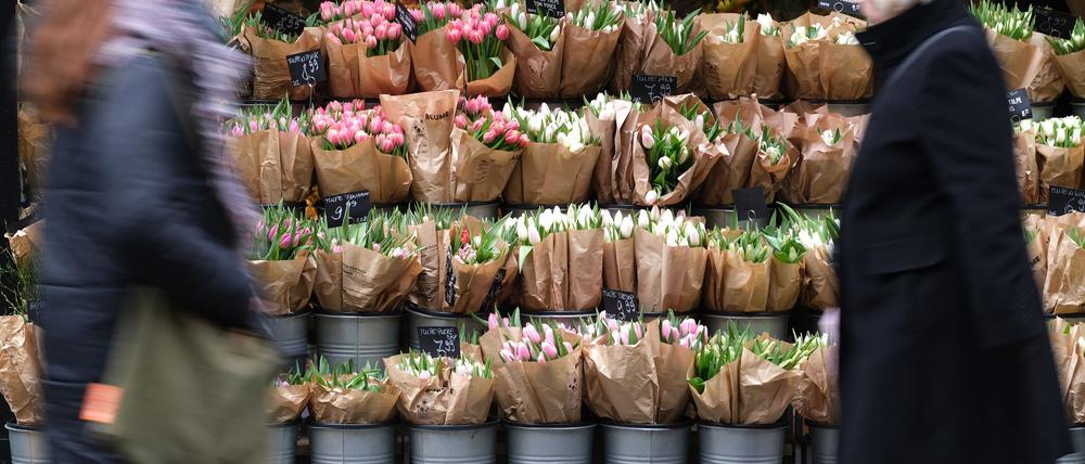 Für Tulpen müssen Verbraucher in diesem Jahr tiefer in die Tasche greifen. (Archivbild)