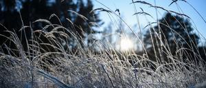 Sonniges und freundliches Wetter erwartet die Hauptstadtregion in den nächsten Tagen. Doch der Wintermantel ist bislang nicht ganz überflüssig. (Symbolbild)