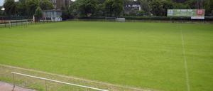 Blick über einen Rasenfußballplatz in Berlin.