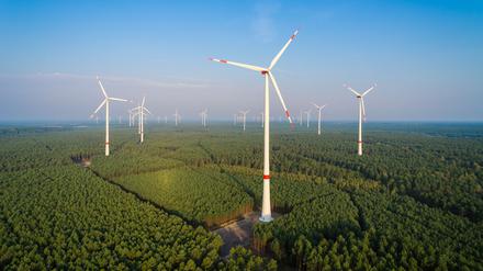Windräder im Wald: So etwas wünscht sich Geschäftsführer Ulrich Schiller auch für das landeseigene Wohnungsunternehmen Howoge.