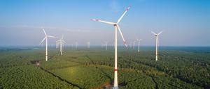 Windräder im Wald: So etwas wünscht sich Geschäftsführer Ulrich Schiller auch für das landeseigene Wohnungsunternehmen Howoge.