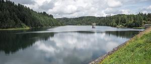 Blick auf die Mauthaustalsperre. Trinkwassertalsperre Mauthaus, auch Ködeltalsperre genannt, birgt das Trinkwasser für den oberfränkischen Raum. Für die Wasserversorgung werden jährlich etwa 12,6 Mio. Kubikmeter Rohwasser entnommen. 