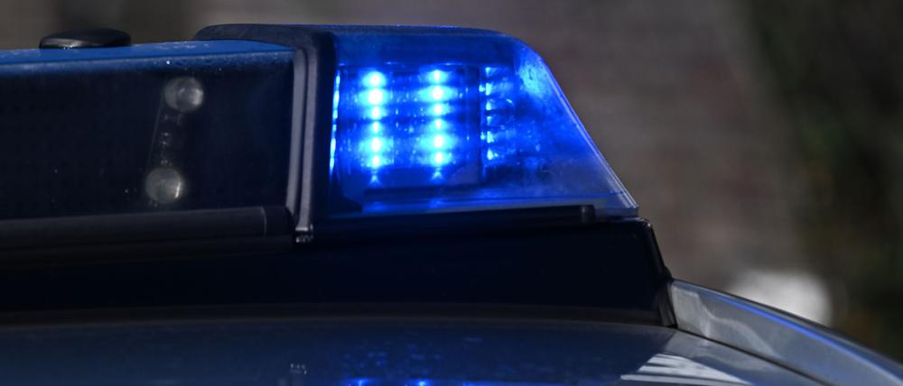 In Oranienburg lag ein offener Tresor im Wald. (Symbolbild)