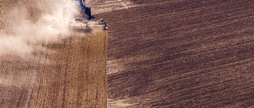 Die Agrarminister der ostdeutschen Bundesländer sind zu Gesprächen nach Brüssel gereist. (Symbolbild)