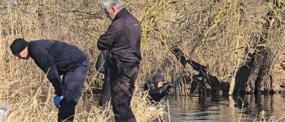Die Polizei sucht an der Havel mit Leichenspürhunden und Tauchern nach dem vermisstem Mann aus Rathenow.