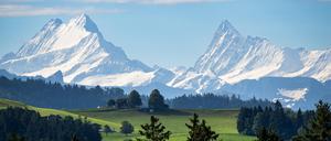 Ein Blick auf die Schönegg (vorne) und die Berner Alpen, mit dem Schreckhorn (l.) und dem Finsteraarhorn. 